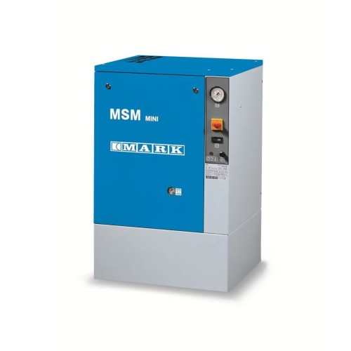 MARK MINI MSM 2,2.jpg